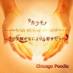 Chicago Poodle - Kimi no Egao ga Nani Yori mo Sukidatta