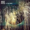 Muse - In Your World