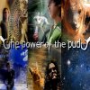 The Power of the Pudú - Oda al Pudú