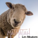 Matmatah - Les moutons